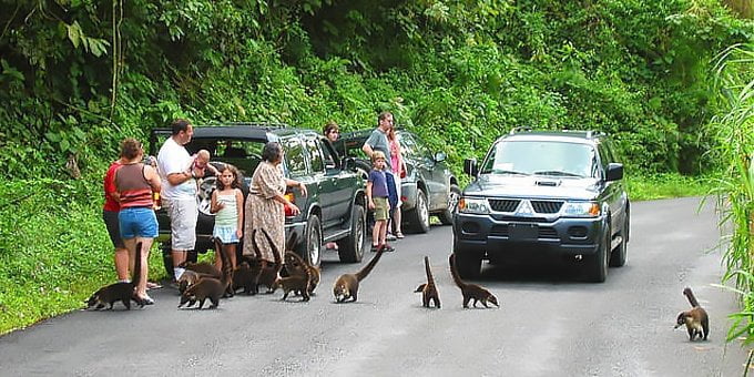 moving to Costa Rica