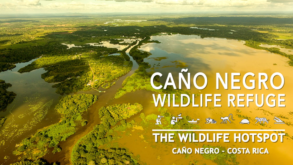 moving to Costa Rica