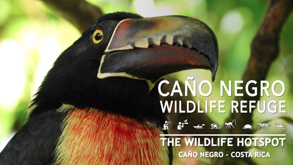 moving to Costa Rica